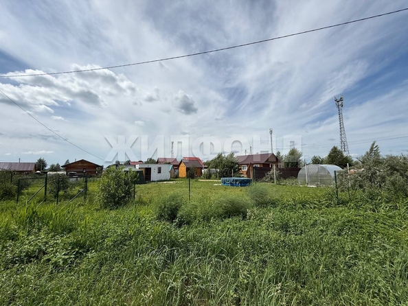 
  Продается земельный участок, 6.2 соток, дачный поселок Кудряшовский
. Фото 1.