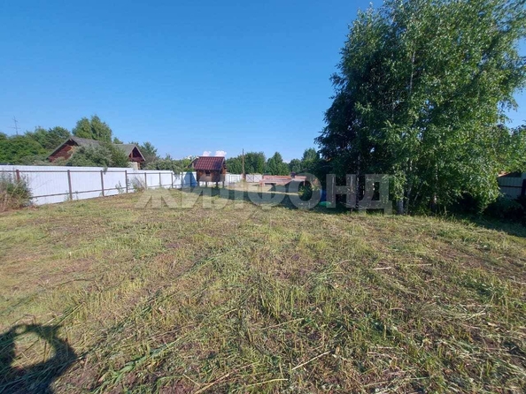 
  Продается земельный участок, 14 соток, село Боровое
. Фото 5.