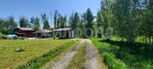 
  Продается земельный участок, 48 соток, ДНТ Синегорье
. Фото 2.