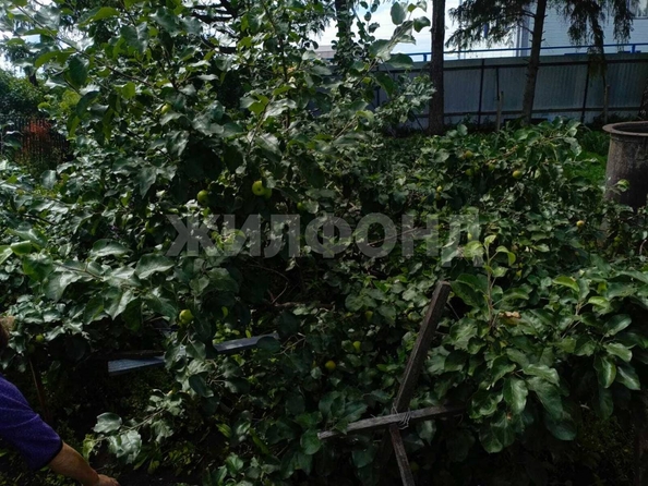 
  Продается дом, 56.8 м², рабочий поселок Коченево
. Фото 3.
