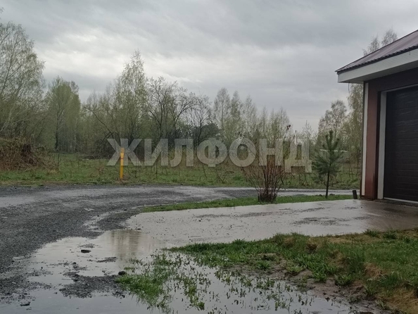 
  Продается земельный участок 10 соток. Фото 4.