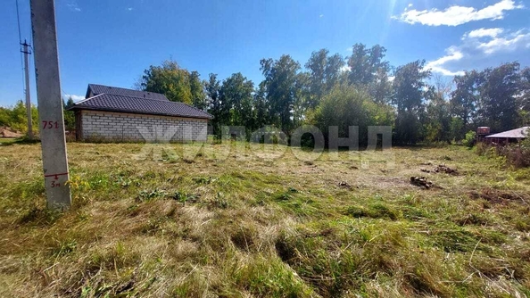 
  Продается земельный участок, 15 соток, село Боровое
. Фото 11.