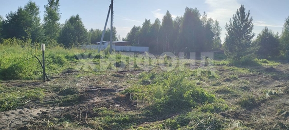 
  Продается земельный участок, 19.06 соток, село Морозово
. Фото 9.