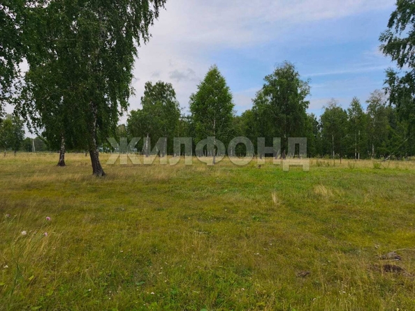 
  Продается земельный участок, 9 соток, село Пайвино
. Фото 4.