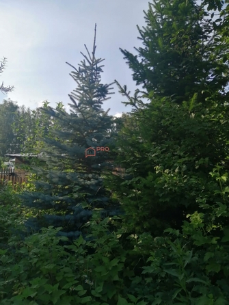 
  Продается коттедж, 180 м², СНТ Черемушки (Первомайский р-н)
. Фото 22.