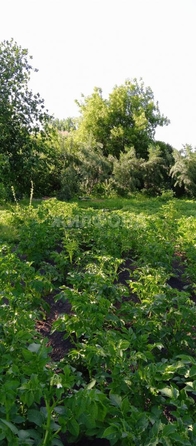 
  Продается дача, 20 м², село Криводановка
. Фото 3.