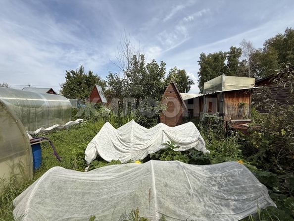 
  Продается дача, 31.7 м², Новосибирск
. Фото 22.