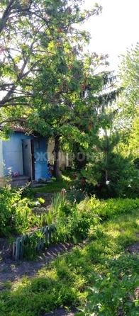 
  Продается земельный участок, 9 соток, село Криводановка
. Фото 7.