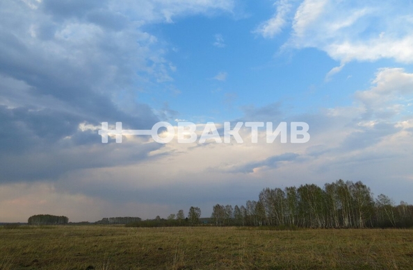 
  Продается земельный участок, 103.07 сотки, село Томилово
. Фото 4.