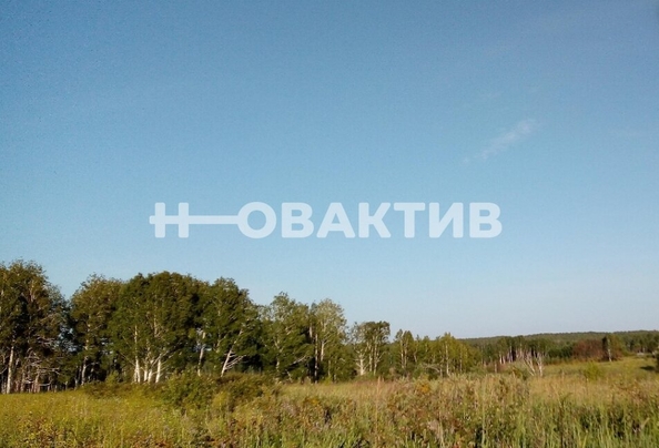 
  Продается земельный участок, 98.78 соток, село Томилово
. Фото 1.