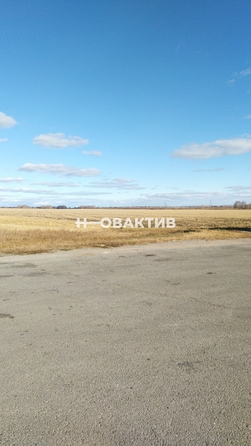 
  Продается земельный участок, 970 соток, село Новопичугово
. Фото 5.