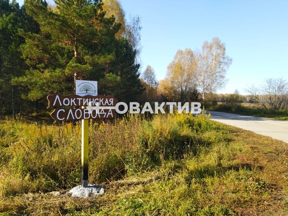 
  Продается земельный участок, 50 соток, поселок Барлакский
. Фото 3.