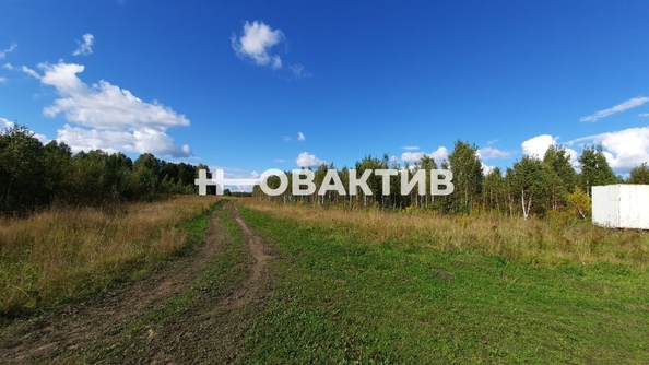 
  Продается земельный участок, 50 соток, поселок Барлакский
. Фото 6.
