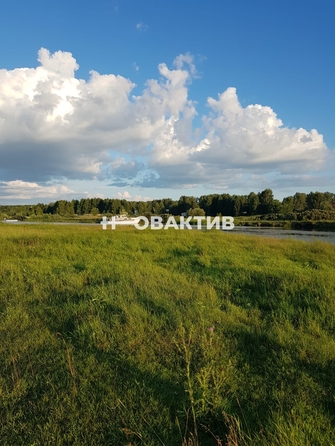 
  Продается земельный участок, 9 соток, ТСН Крутояр
. Фото 1.