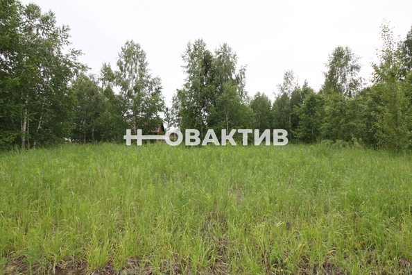
  Продается земельный участок, 11.08 соток, посёлок Новониколаевский
. Фото 8.