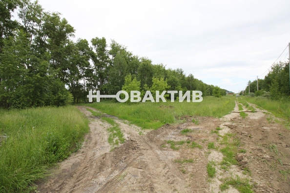 
  Продается земельный участок, 11.08 соток, посёлок Новониколаевский
. Фото 14.
