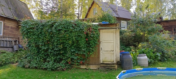
  Продам дачу, 50 м², Новосибирск
. Фото 23.