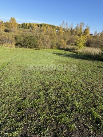 
  Продается дом, 53.8 м², село Сокур
. Фото 21.
