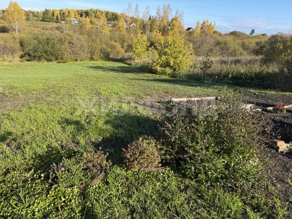 
  Продается дом, 53.8 м², село Сокур
. Фото 23.