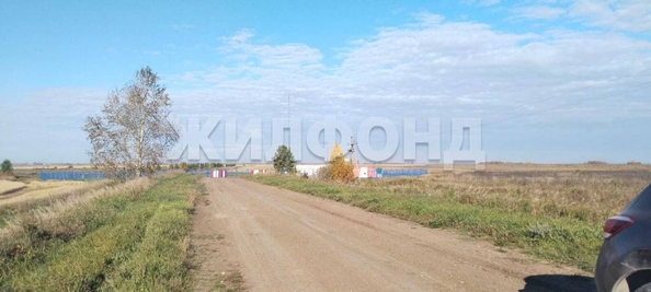 
  Продается земельный участок, 10 соток, рабочий поселок Колывань
. Фото 4.