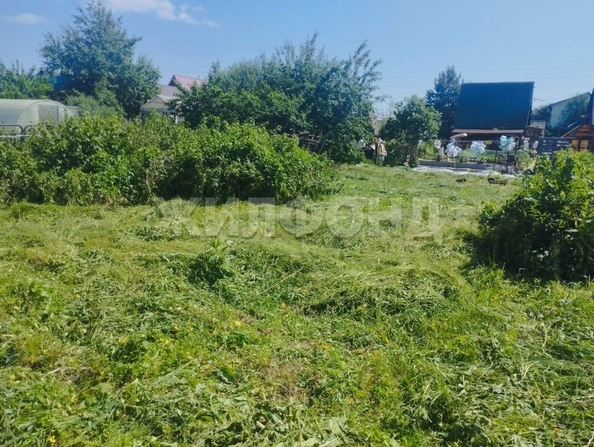 
  Продается земельный участок, 3.96 сотки, рабочий поселок Краснообск
. Фото 2.
