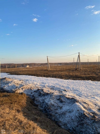 
  Продается земельный участок, 50.04 соток, село Сокур
. Фото 3.