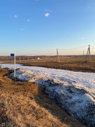 
  Продается земельный участок, 37.75 соток, село Сокур
. Фото 1.
