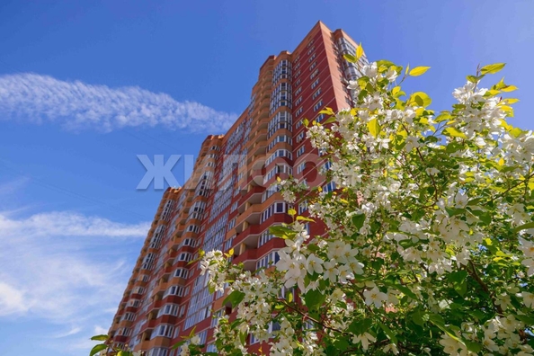 
  Продается студия, 23.7 м², Михаила Кулагина ул, д. 31
. Фото 23.