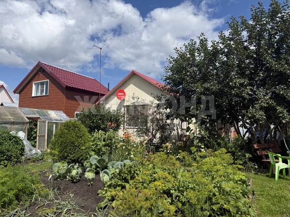 
  Продается дача, 45 м², СНТ Яблоневый сад 1
. Фото 19.