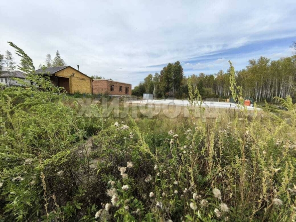 
  Продается земельный участок, 6 соток, село Каменка
. Фото 2.