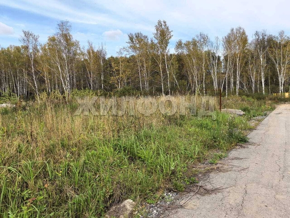 
  Продается земельный участок, 6 соток, село Каменка
. Фото 4.