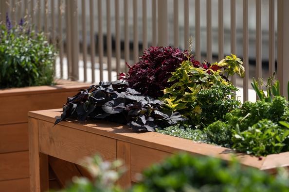 
  Продается 3-комн. квартира, 73.12 м², ЖК Balance (Баланс), 3 очередь
. Фото 14.