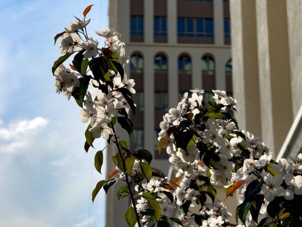 
  Продается 2-комн. квартира, 51.77 м², ЖК Balance (Баланс), 3 очередь
. Фото 13.