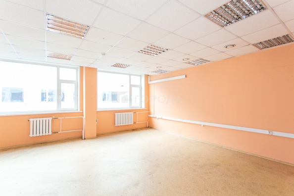 
  Сдается офис 54.9 м². Фото 3.