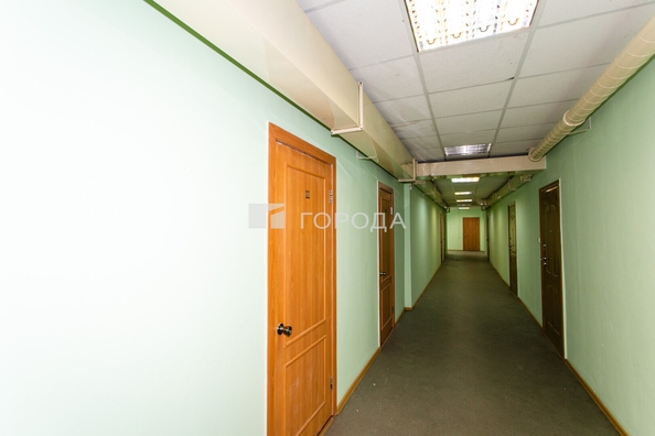 
  Сдается офис 427 м². Фото 20.