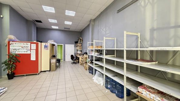 
  Сдается универсальное помещение 269 м². Фото 8.