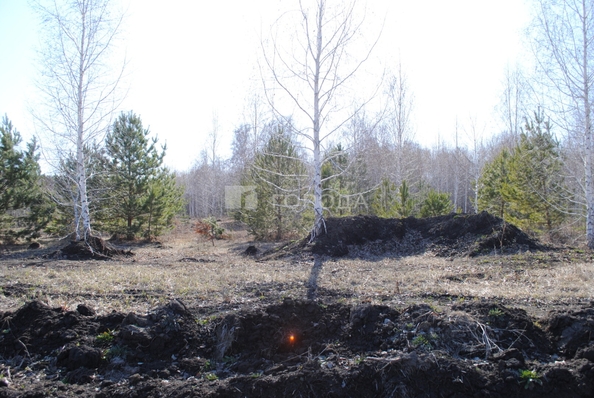 
  Продается земельный участок 6 соток. Фото 4.