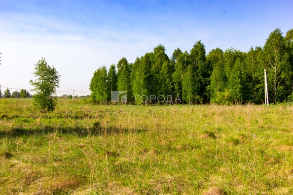 
  Продается земельный участок 10.5 соток. Фото 11.