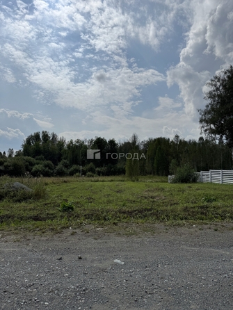 
  Продается земельный участок 10.75 соток, в КП Salair Park. Фото 4.