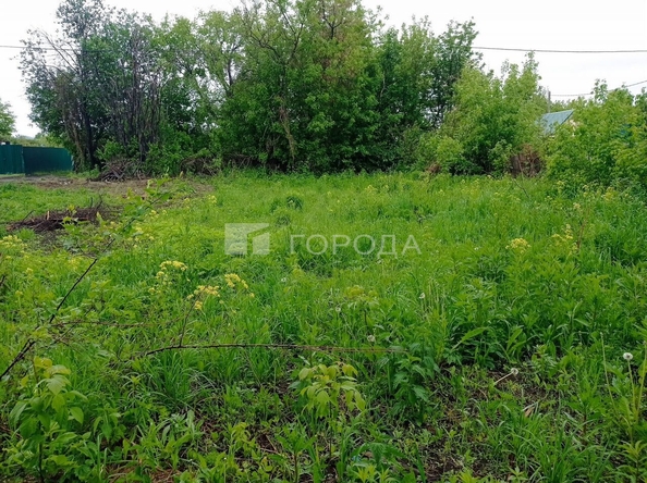 
  Продается земельный участок 6.5 соток. Фото 8.