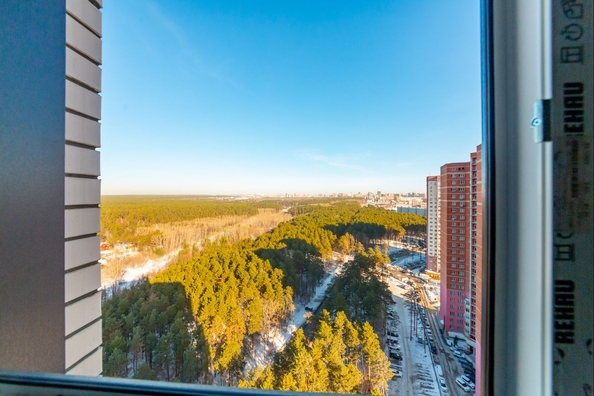 
  Продается 2-комн. квартира 61.6 м², в ЖК Бирюзовая жемчужина-4. Фото 20.
