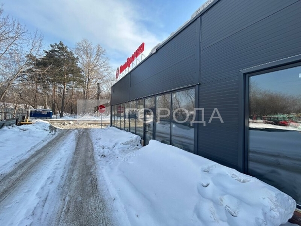 
  Сдается торговая площадь 474 м². Фото 6.