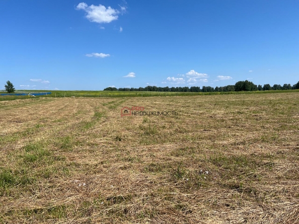 
  Продается универсальное помещение 50 м². Фото 21.