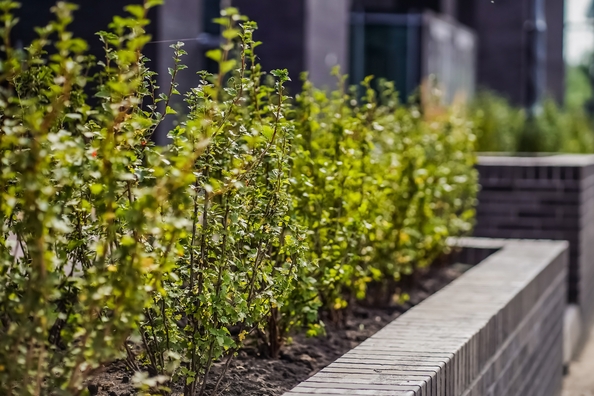 
  Продается 2-комн. квартира 49.2 м², в ЖК Тайм Сквер. Фото 18.