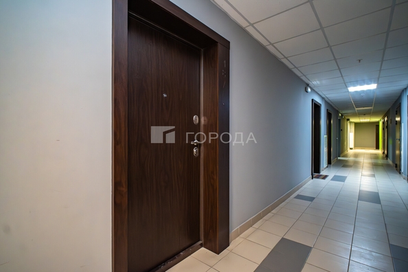 
  Продается апартамент 24.8 м². Фото 17.