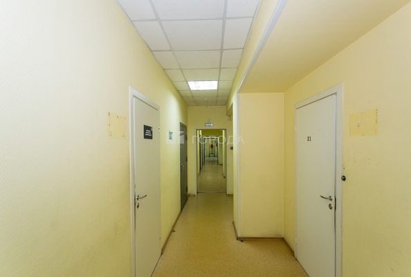 
  Сдается офис 225.9 м². Фото 1.