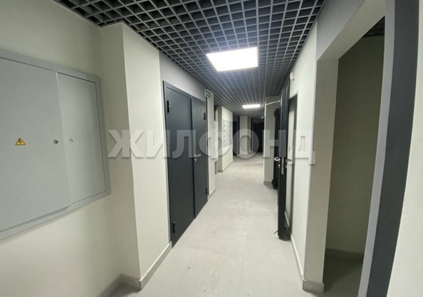 
  Продается студия 27.9 м², в ЖК Расцветай на Зорге, дом 1 . Фото 5.