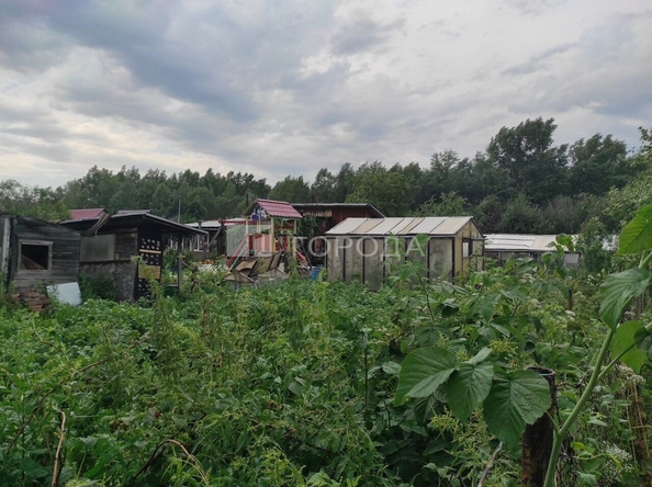 
  Продается дача 24 м². Фото 4.