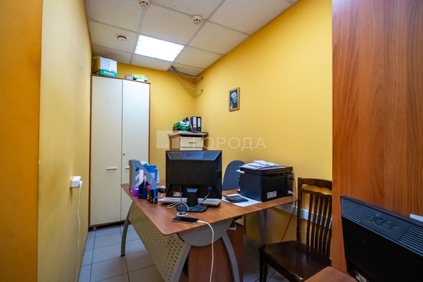 
  Сдается универсальное помещение 366.7 м². Фото 21.