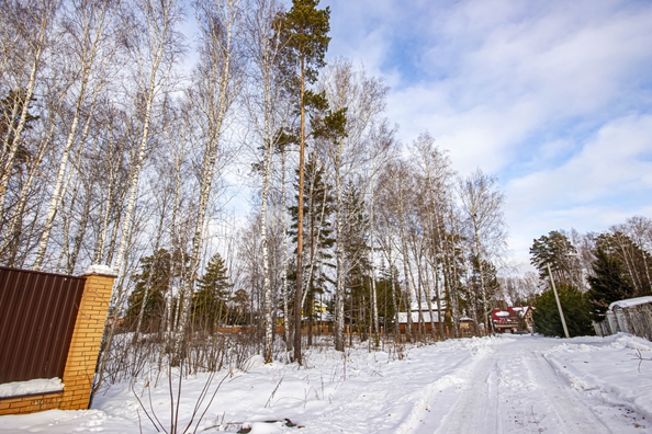 
  Продается земельный участок 10 соток. Фото 4.